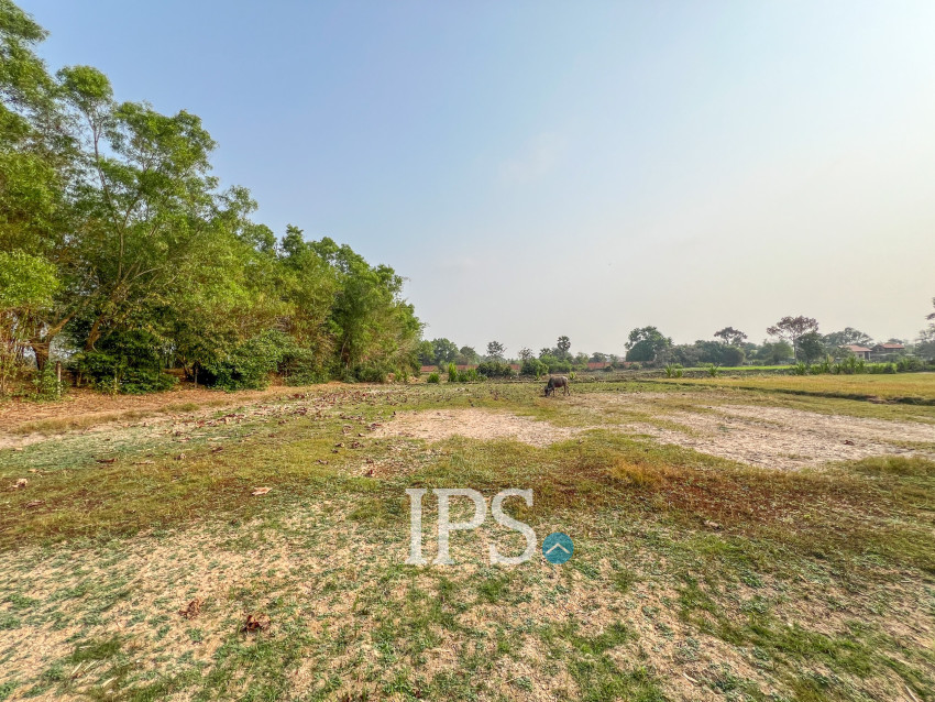 1,456 Sqm Land For Sale - Svay Dangkum, Siem Reap