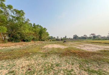 1,456 Sqm Land For Sale - Svay Dangkum, Siem Reap thumbnail