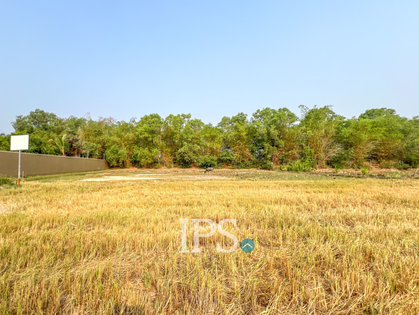 1,456 Sqm Land For Sale - Svay Dangkum, Siem Reap