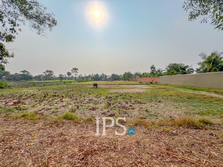 1,456 Sqm Land For Sale - Svay Dangkum, Siem Reap