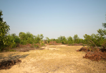 9772 Sqm Land For Sale - Svay Dangkum, Siem Reap thumbnail