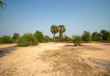 9772 Sqm Land For Sale - Svay Dangkum, Siem Reap thumbnail
