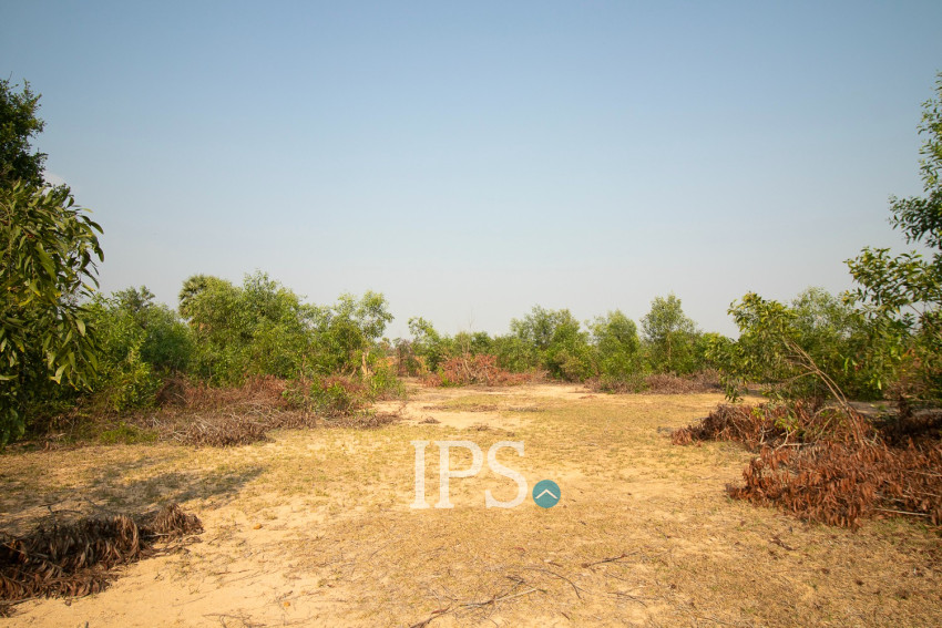 9772 Sqm Land For Sale - Svay Dangkum, Siem Reap