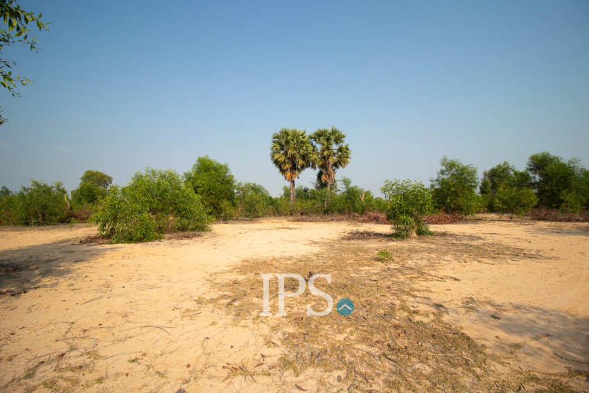 9772 Sqm Land For Sale - Svay Dangkum, Siem Reap