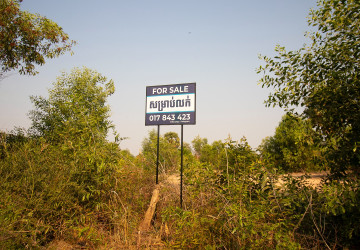 9772 Sqm Land For Sale - Svay Dangkum, Siem Reap thumbnail