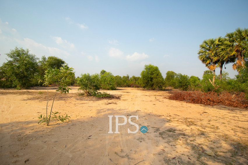 9772 Sqm Land For Sale - Svay Dangkum, Siem Reap