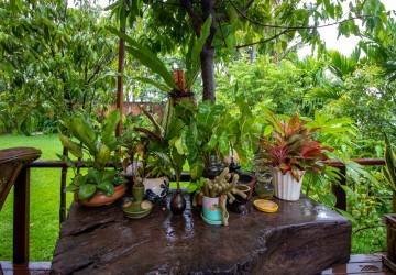 2 Bedrooms Wooden House For Sale - Chreav, Siem Reap thumbnail