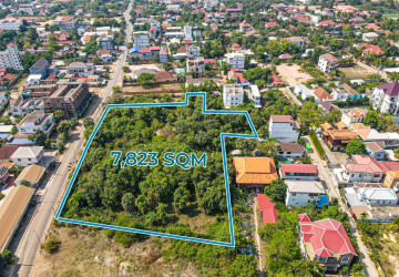 7,823 Sqm Commercial Land For Sale - Svay Dangkum, Siem Reap thumbnail