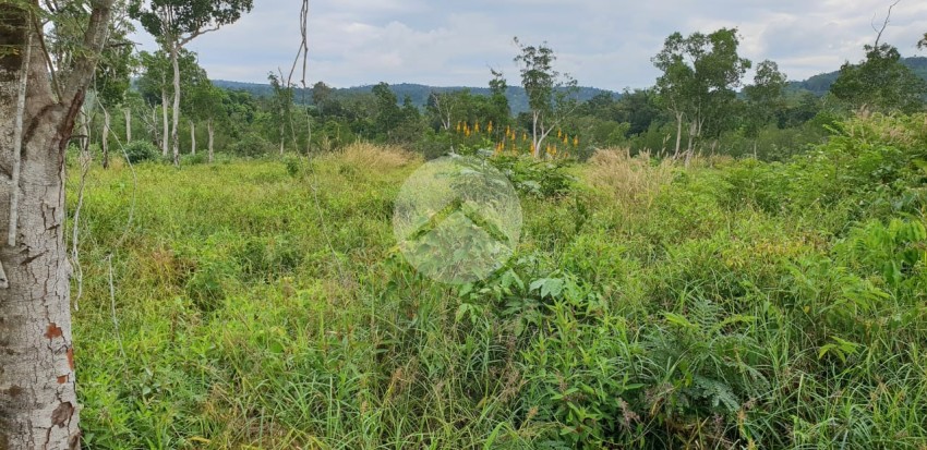 7 Ha Land For Sale - Tuol Kokir, Koh Kong