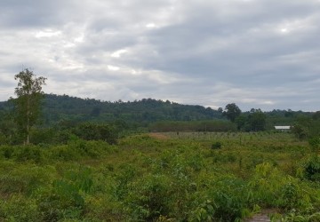 7 Ha Land For Sale - Tuol Kokir, Koh Kong thumbnail