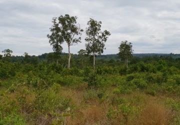 7 Ha Land For Sale - Tuol Kokir, Koh Kong thumbnail