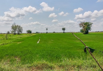 10258 Sqm Agrilculture Land For Sale - Kien Svay, Chheu Teal, Kandal Province thumbnail