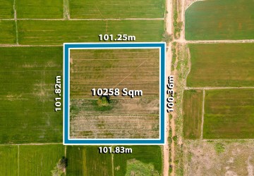 10258 Sqm Agrilculture Land For Sale - Kien Svay, Chheu Teal, Kandal Province thumbnail