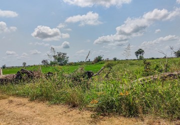 10258 Sqm Agrilculture Land For Sale - Kien Svay, Chheu Teal, Kandal Province thumbnail