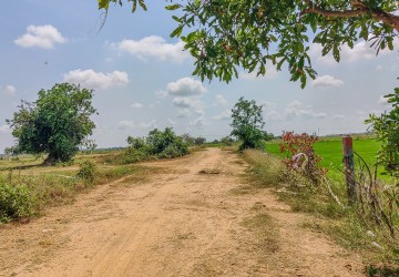 10258 Sqm Agrilculture Land For Sale - Kien Svay, Chheu Teal, Kandal Province thumbnail