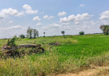 10258 Sqm Agrilculture Land For Sale - Kien Svay, Chheu Teal, Kandal Province thumbnail