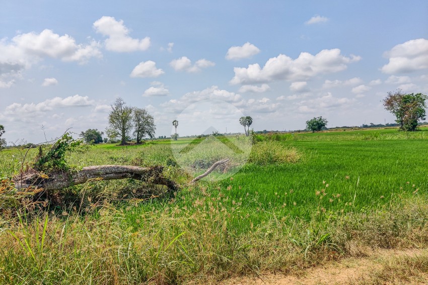 10258 Sqm Agrilculture Land For Sale - Kien Svay, Chheu Teal, Kandal Province