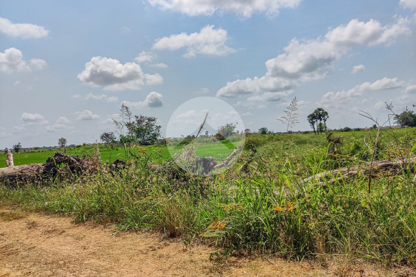 10258 Sqm Agrilculture Land For Sale - Kien Svay, Chheu Teal, Kandal Province