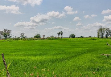 10258 Sqm Agrilculture Land For Sale - Kien Svay, Chheu Teal, Kandal Province thumbnail