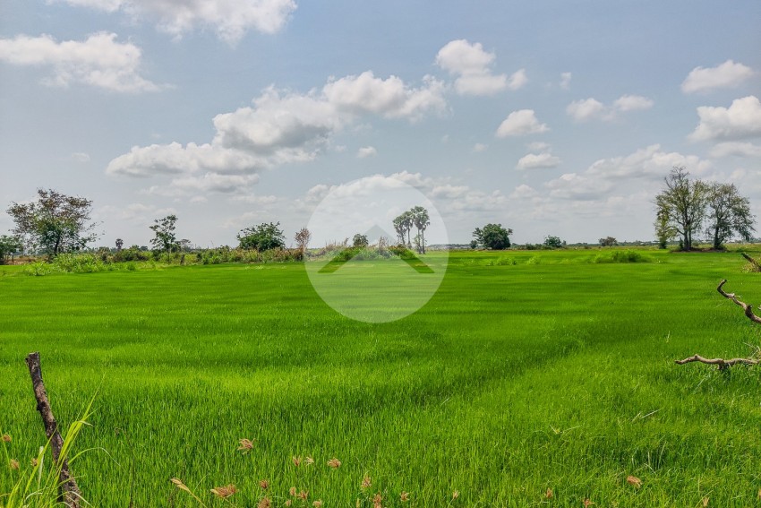 10258 Sqm Agrilculture Land For Sale - Kien Svay, Chheu Teal, Kandal Province