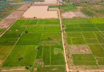 10258 Sqm Agrilculture Land For Sale - Kien Svay, Chheu Teal, Kandal Province thumbnail