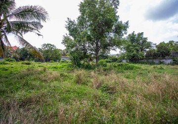 3100 Sqm Land For Rent - Sala Kamreuk, Siem Reap thumbnail