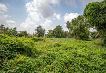 3100 Sqm Land For Rent - Sala Kamreuk, Siem Reap thumbnail