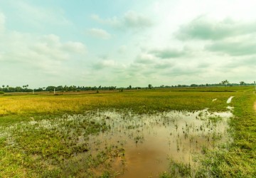 9915 Sqm Land For Sale - Krabi Riel, Siem Reap thumbnail