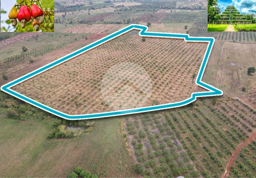 10 Hectare Agricultural Land For Sale - Koh Ker, Preah Vihear Province