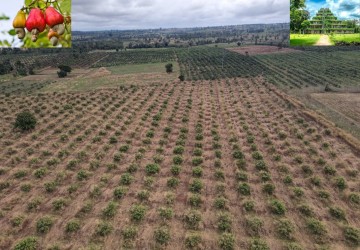 10 Hectare Agricultural Land For Sale - Koh Ker, Preah Vihear Province thumbnail