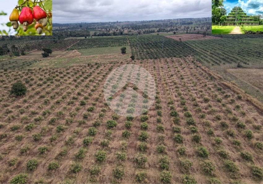 10 Hectare Agricultural Land For Sale - Koh Ker, Preah Vihear Province