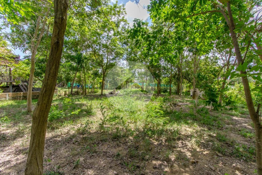 4000 Sqm Land For Sale - Krabi Riel, Siem Reap