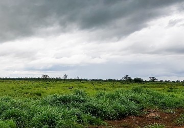 30 Hectare Land For Sale - Svay Leu, Siem Reap thumbnail