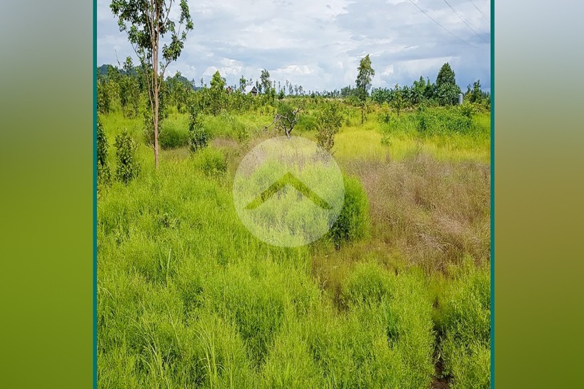 30 Hectare Land For Sale - Svay Leu, Siem Reap