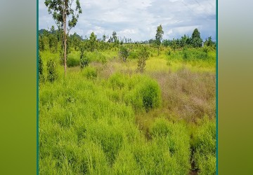 30 Hectare Land For Sale - Svay Leu, Siem Reap thumbnail