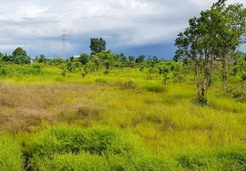 30 Hectare Land For Sale - Svay Leu, Siem Reap thumbnail