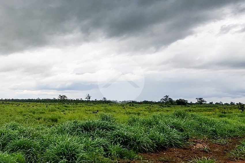 30 Hectare Land For Sale - Svay Leu, Siem Reap