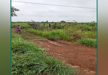 30 Hectare Land For Sale - Svay Leu, Siem Reap thumbnail