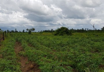 200 Hectare Land For Sale - Svay Leu, Siem Reap thumbnail