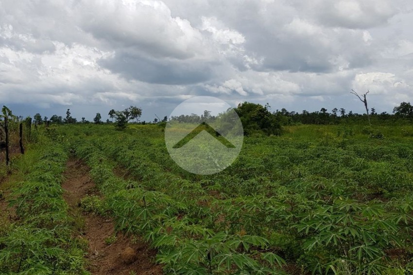 200 Hectare Land For Sale - Svay Leu, Siem Reap