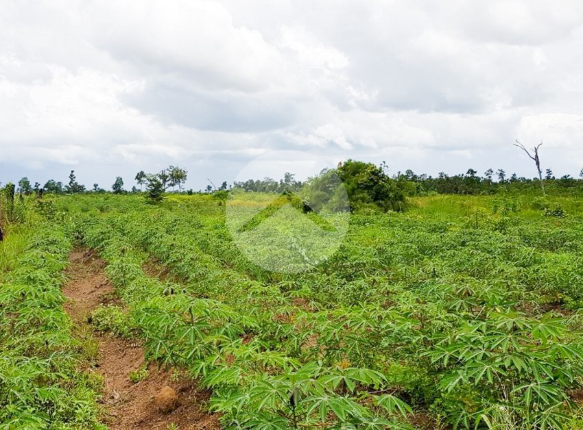 200 Hectare Land For Sale - Svay Leu, Siem Reap