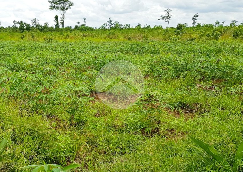 200 Hectare Land For Sale - Svay Leu, Siem Reap