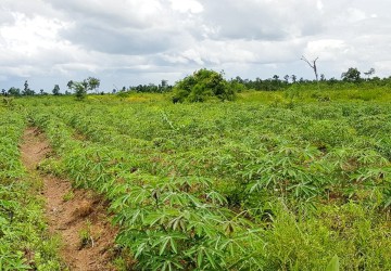 200 Hectare Land For Sale - Svay Leu, Siem Reap thumbnail