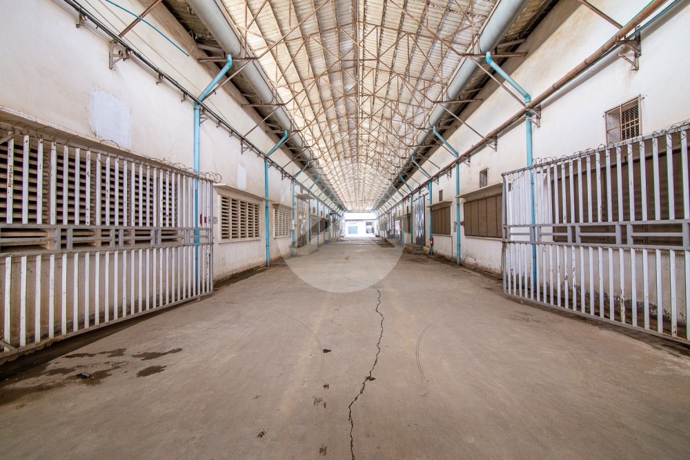 600 Sqm Warehouse Space For Rent - NR2, Phnom Penh - Image 13