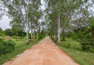 1.8 Hectare Land For Sale - Kandal Stueng, Kandal Province thumbnail