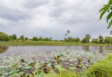 1.8 Hectare Land For Sale - Kandal Stueng, Kandal Province thumbnail