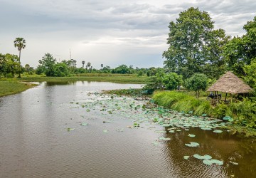 1.8 Hectare Land For Sale - Kandal Stueng, Kandal Province thumbnail