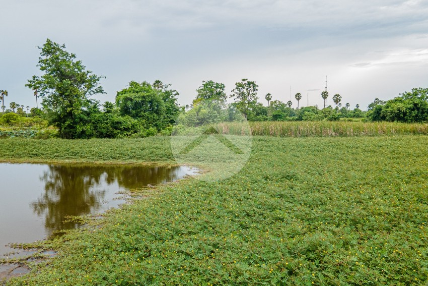 1.8 Hectare Land For Sale - Kandal Stueng, Kandal Province