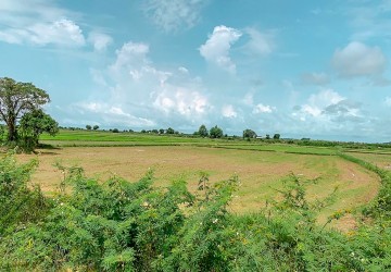 1.2 Hectare Land For Sale - Sangkat Siem Reap, Siem Reap thumbnail