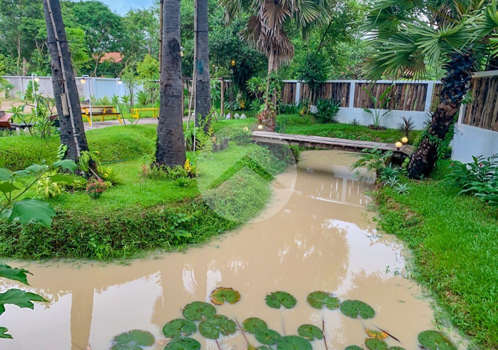 3700 Sqm Land For Sale - Chreav, Siem Reap - Image 5